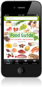 Food Guide Cover iPhone