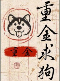 重金求子完整版