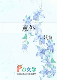 意外小说